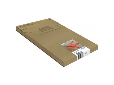 Epson Multipack 4-colours 603 EasyMail