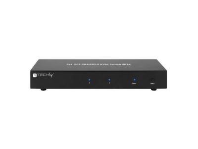 Techly IDATA DP-KVM2 KVM switch Black