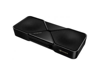 Nvidia RTX PRO 6000 Blackwell Workstation