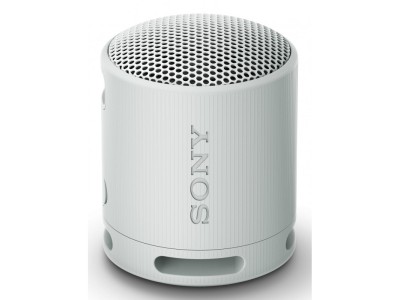 Sony SRS-XB100 - Wireless Bluetooth Portable