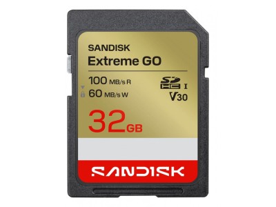 SanDisk Extreme GO 32 GB SDHC