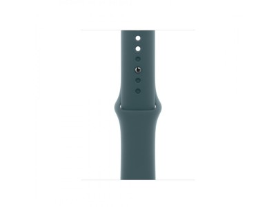 Apple MAX64ZM/A Smart Wearable Accessories Band