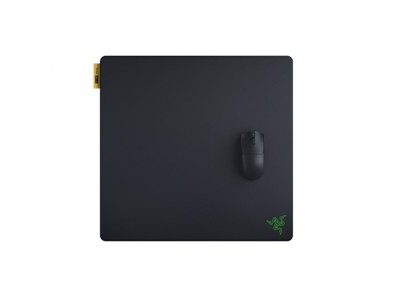 Razer Gigantus V2 Pro Gaming mouse