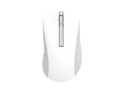 ASUS Wireless MD102 mouse Universal Right-hand