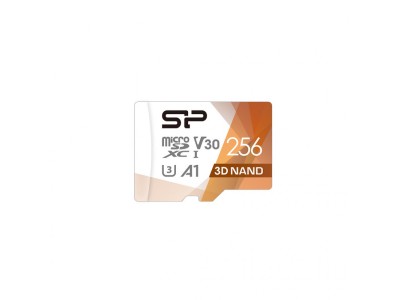 Silicon Power Superior Pro 256 GB