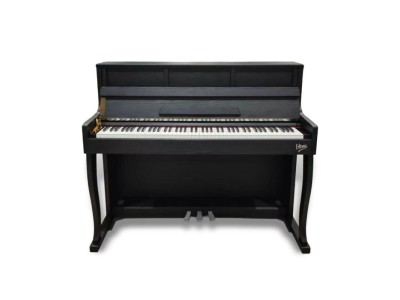 V-TONE PLF-256 BK pianino cyfrowe stacjonarne