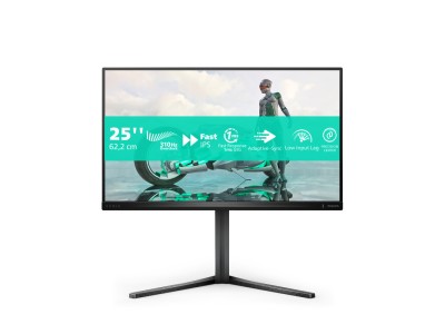 Philips Evnia 3000 25M2N3200U/00 computer monitor