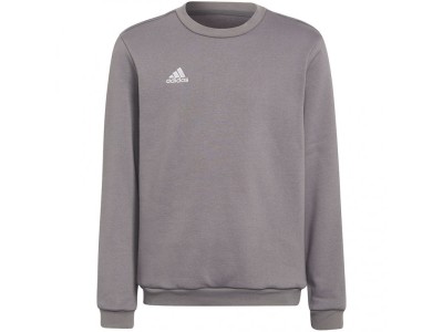 Adidas Entrada 22 Sweat Top grey