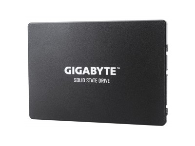 Gigabyte GP-GSTFS31480GNTD internal solid state drive
