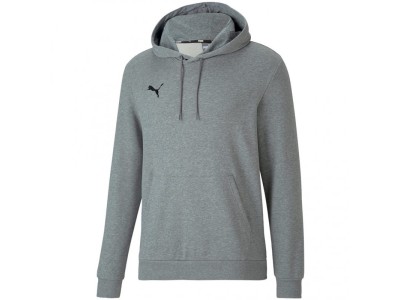 Puma teamGOAL 23 Causals Hoody grey