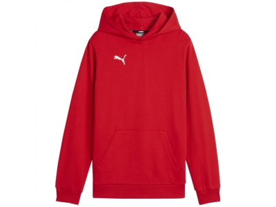 Puma Team Goal Casuals Hoddy Sweatshirt