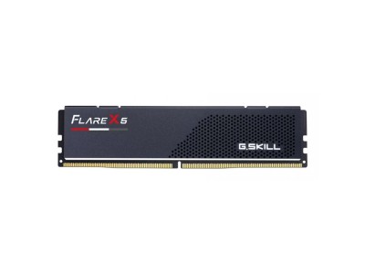 G.Skill Flare X5 F5-5200J4040A24GX1-FX5 memory