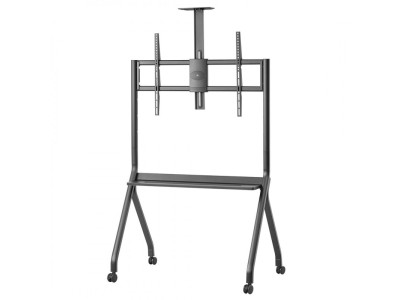 Maclean TV stand / cart, camera