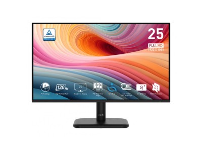MSI PRO MP251L E2 computer monitor