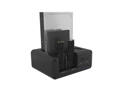 Raidsonic 4-bay Enclosure for 2x M