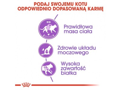 Royal Canin FHN Sterilised 37 -