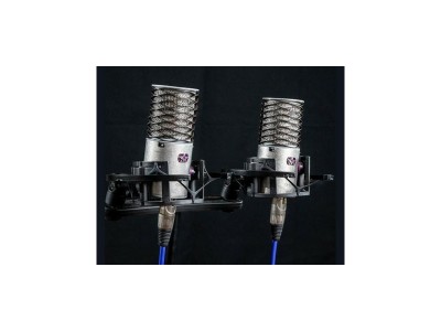 Aston Microphones Origin Stereo Pair Condenser