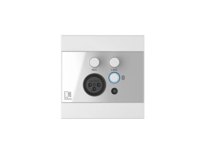 AUDAC WP225/W audio converter Steel, White
