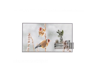 LG | Digital Signage | 55EW5P