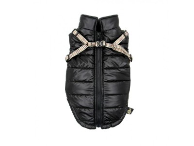 PCHEŁKA Tobiasz Black - dog clothing