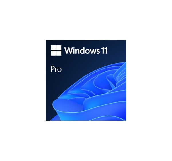 MICROSOFT Win 11 Pro 64Bit Eng Intl 1pk DSP OEI DVD FQC-10528