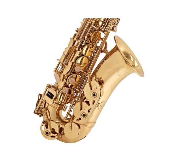 V-TONE AS 100 Alto Saxophone with Case Set