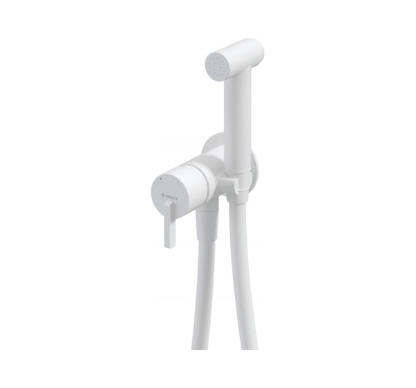 Concealed bidet mixer with bidetta receiver