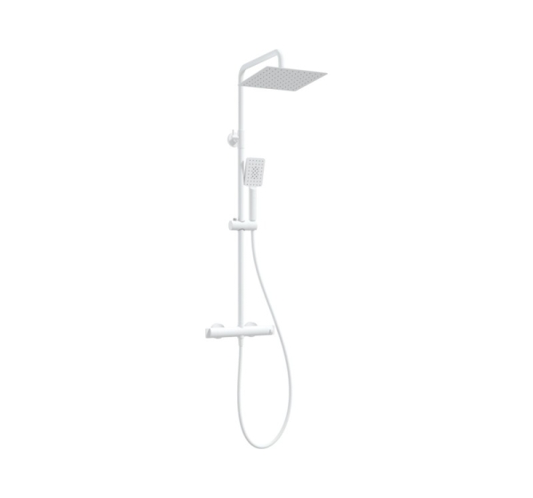 Showerhead w/ thermostatic shower mixer