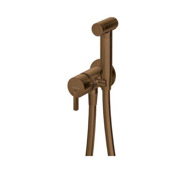 Concealed bidet mixer with bidetta receiver