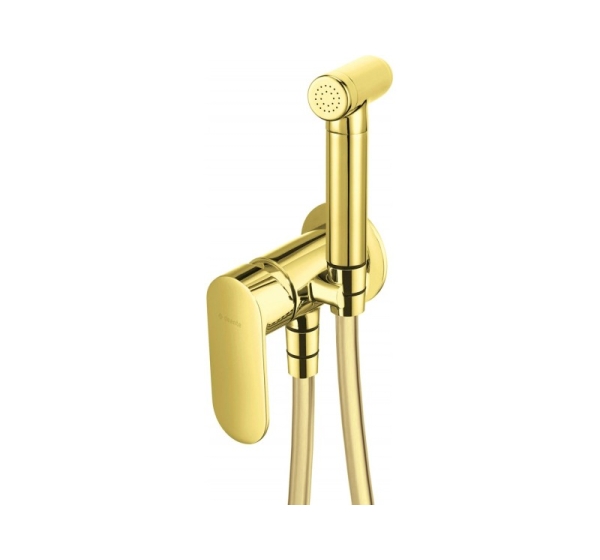 Concealed bidet mixer with bidetta shower head