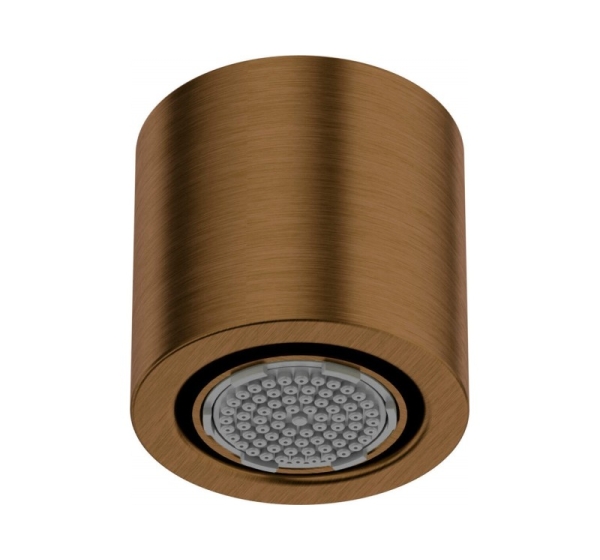 1-function shower head