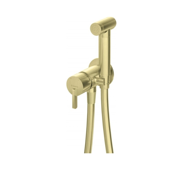 Concealed bidet mixer with bidetta shower head