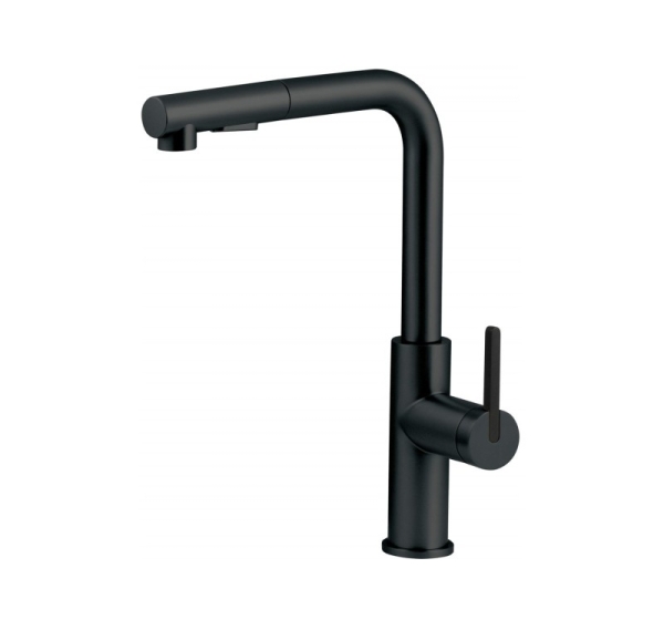 Kitchen faucet with pull-out spout