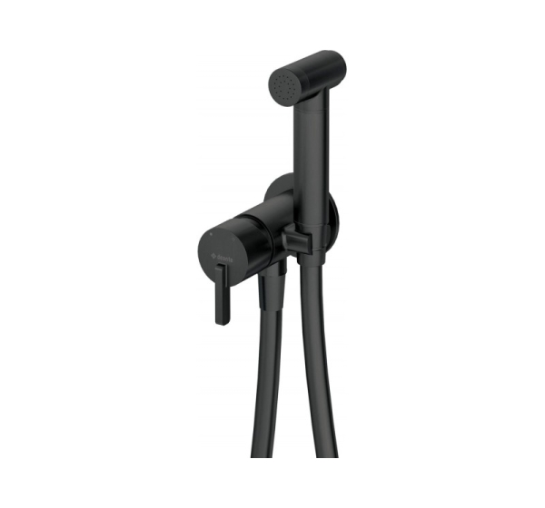 Concealed bidet mixer with bidetta shower head