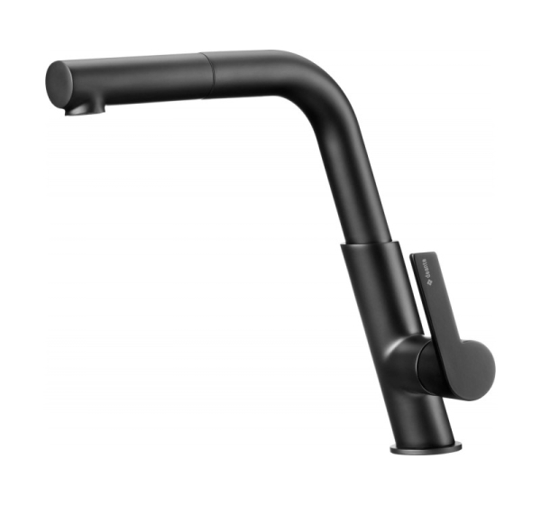 Kitchen faucet with pull-out spout