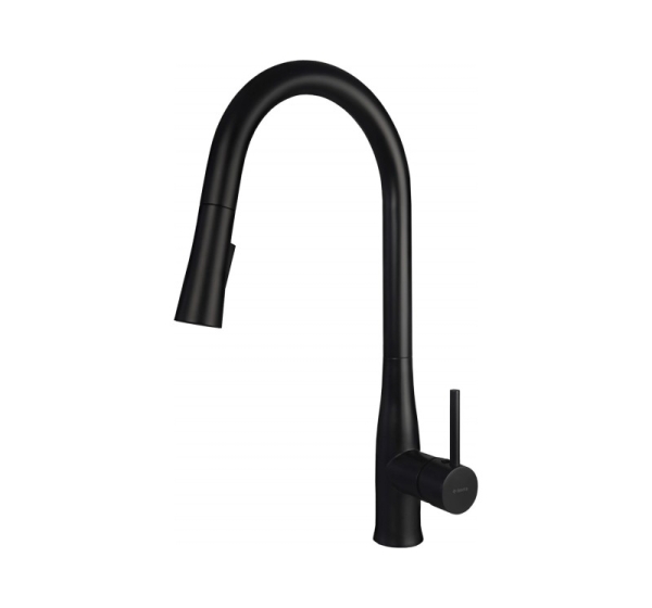 Kitchen faucet with pull-out spout
