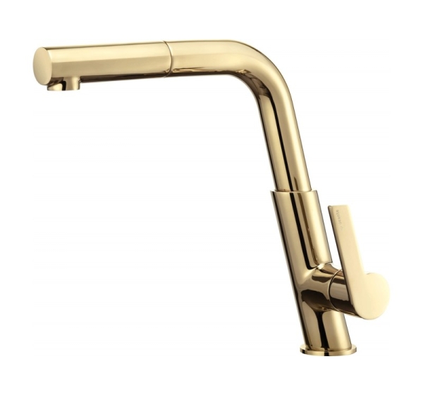 Kitchen faucet with pull-out spout