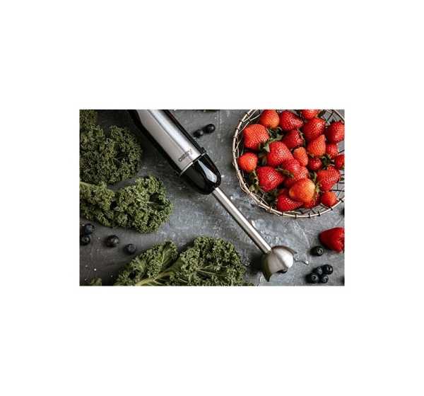 Camry CR 4615 blender Immersion blender Black,Stainless steel 700 W