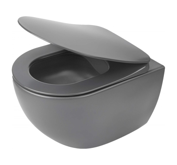Rimless toilet