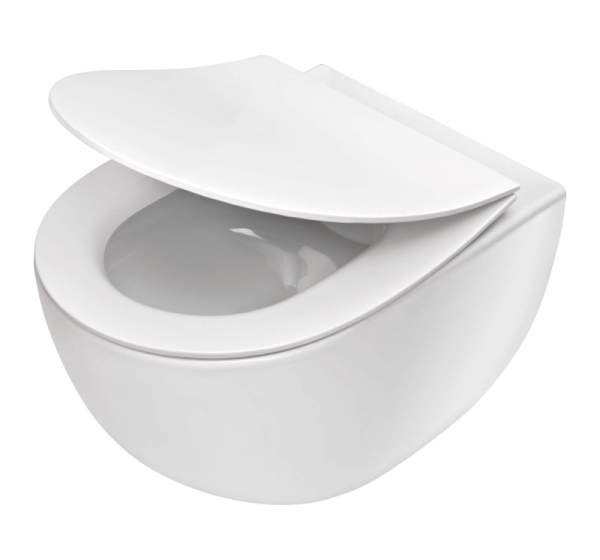 Rimless wall-hung toilet