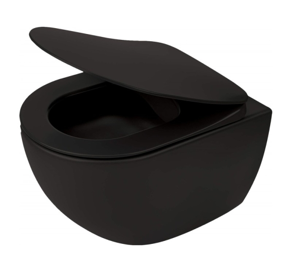 Rimless wall-hung toilet