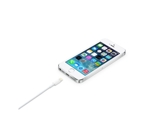 Apple Lightning to USB Cable (2 m)