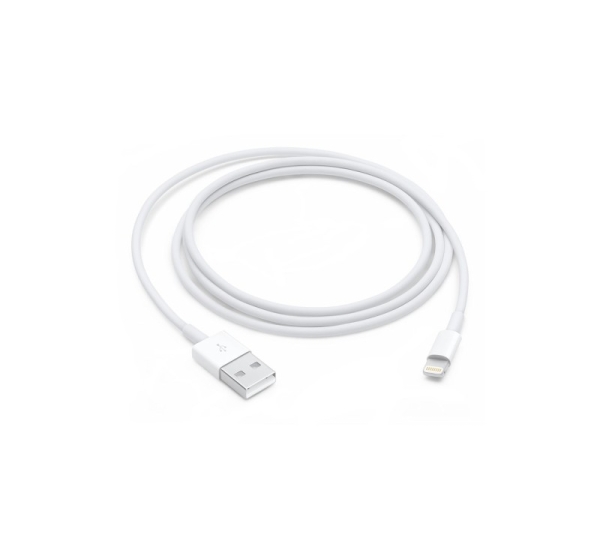 Apple Lightning to USB Cable (1В m)