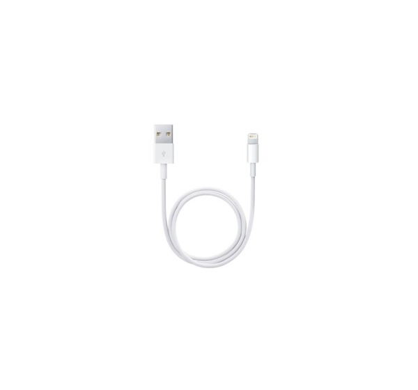 Apple Lightning to USB Cable (0.5 m)