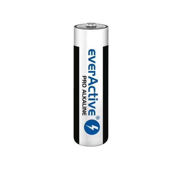 Alkaline batteries everActive Pro Alkaline LR6 AA - shrink pack - 10 pieces