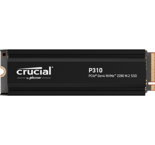 SSD PCIE G4 M.2 NVME 1TB W/HS/P310