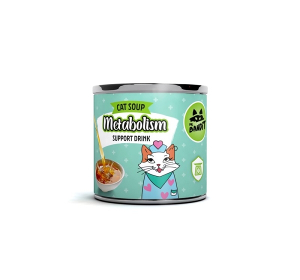 VETEXPERT Mr. Bandit Salmon Metabolism Support - functional drink for cat - 95 ml