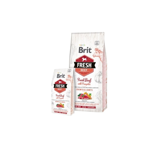 BRIT Fresh Puppy&Junior Large Growth&Joints Beef with Pumpkin - dry dog food - 12 kg