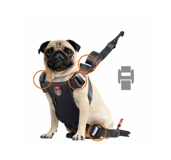 ZOLUX Travel Safe S red - dog harness