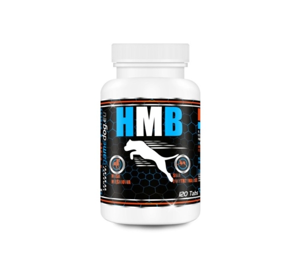 GAME DOG HMB - supplements for dogs - 120 tablets
